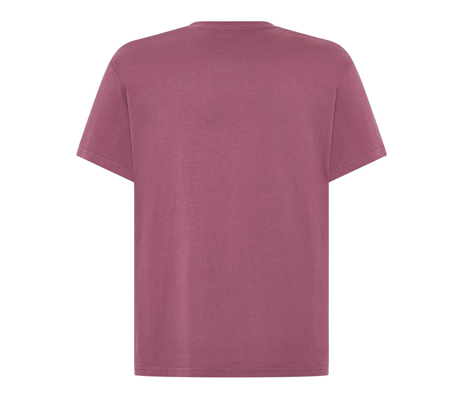 MAN REGULAR T-SHIRT