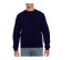 HEAVY BLEND ADULT CREWNECK SWEATSHIRT